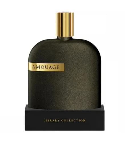 عطر آمواج اوپوس هفت رکلس لدر | Amouage Opus VII Reckless Leather — تصویر ۲