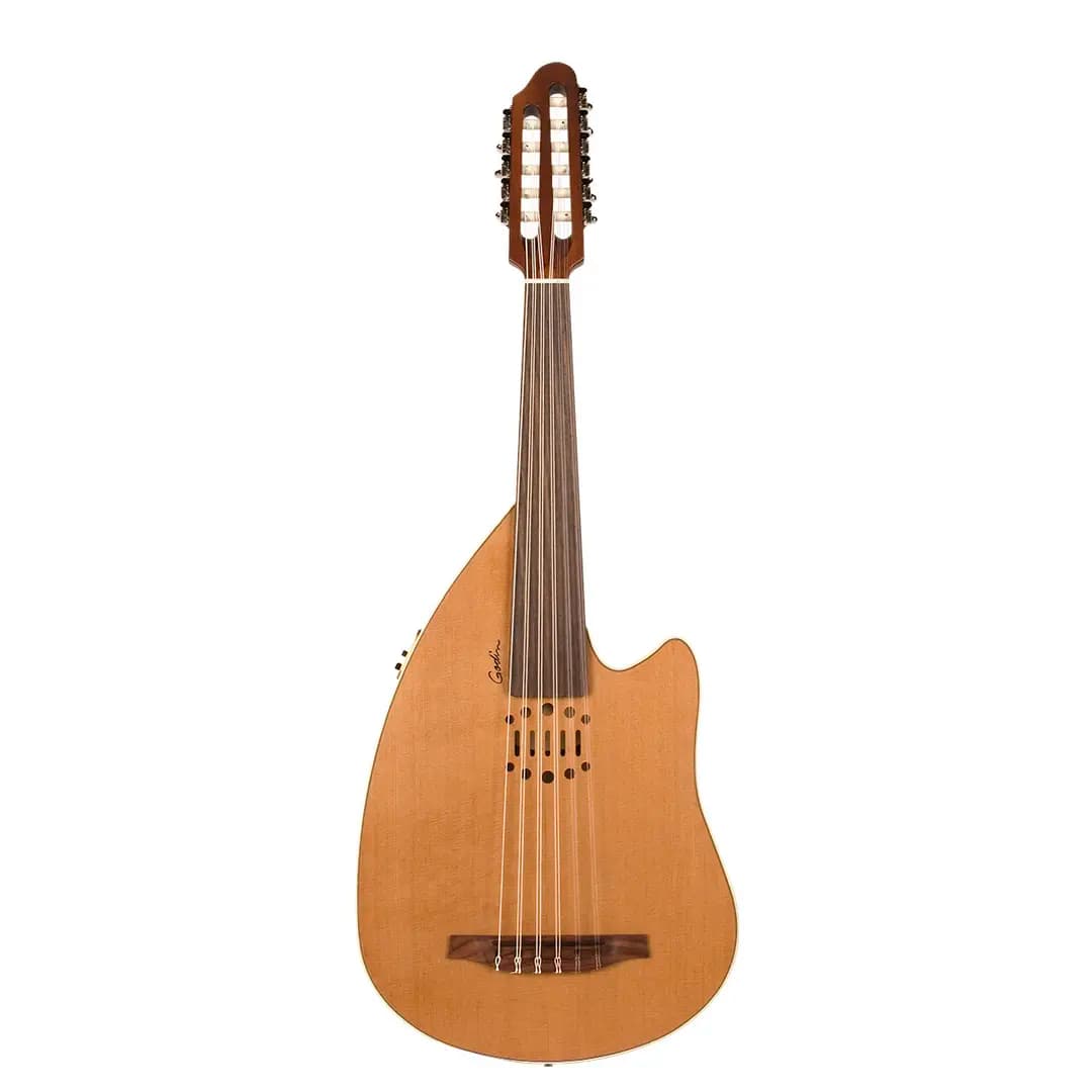 عود Godin مدل Multiac Multioud Encore Nylon