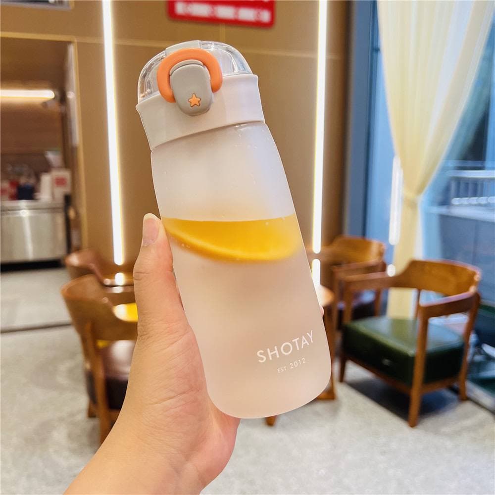 قمقمه Song 8717 – 480 mL — تصویر ۵