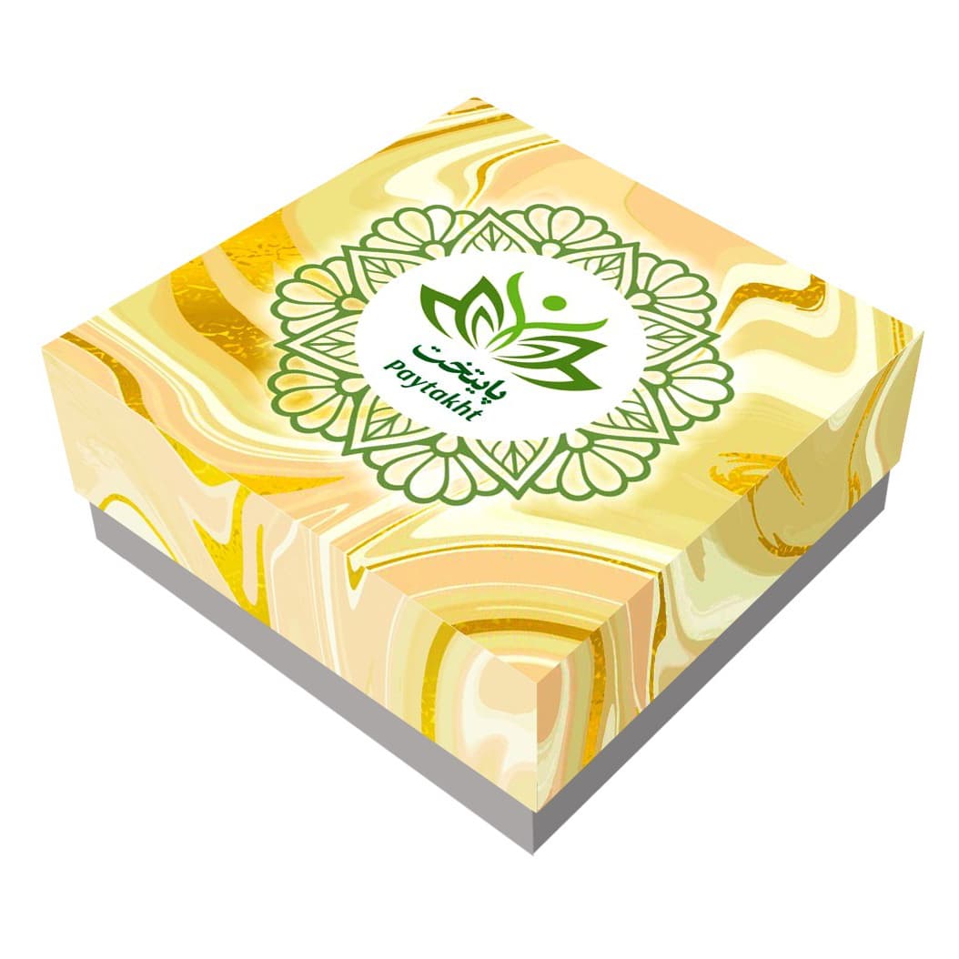 پیرسینگ گوش پایتخت مدل PS537 فیک فشاری — تصویر ۴