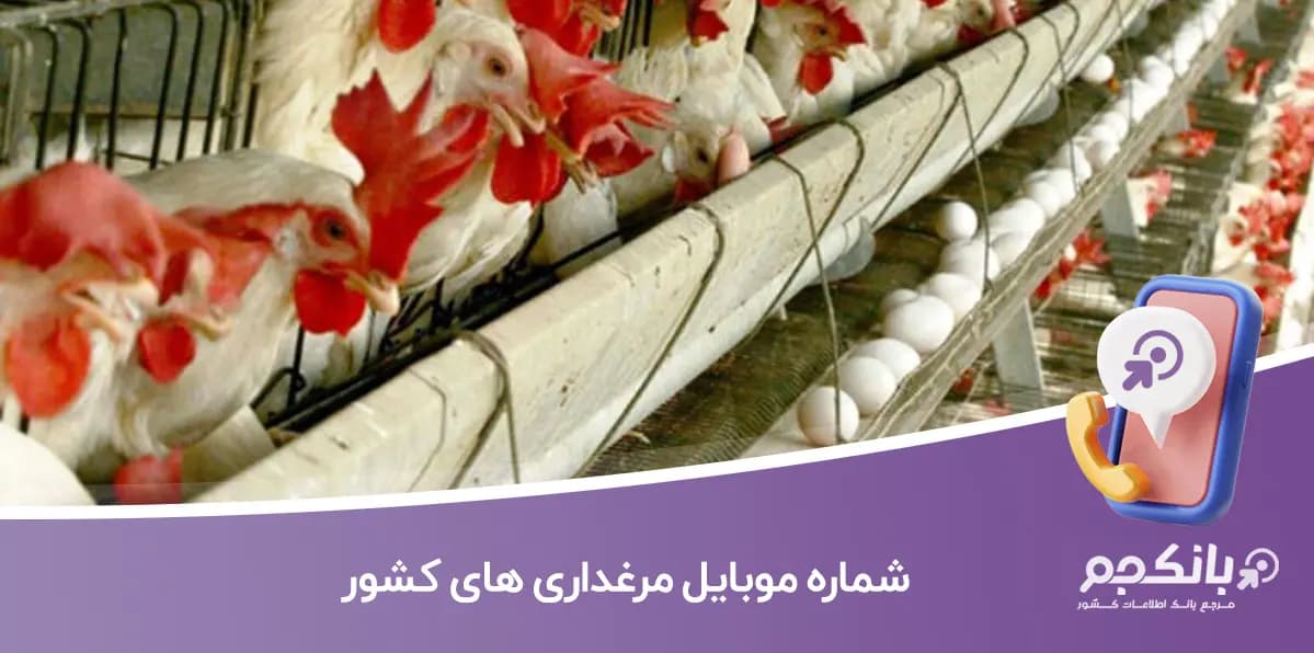 شماره موبایل مرغداری های کشور