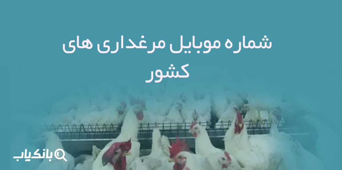 شماره موبایل مرغداری های کشور — تصویر ۲
