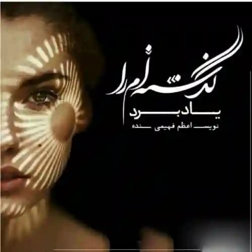 دانلود رمان گذشته ام را یاد برد اثر اعظم فهیمی