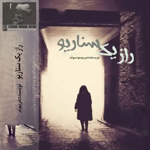 دانلود رمان راز یک سناریو اثر مریم موسیوند — تصویر ۲