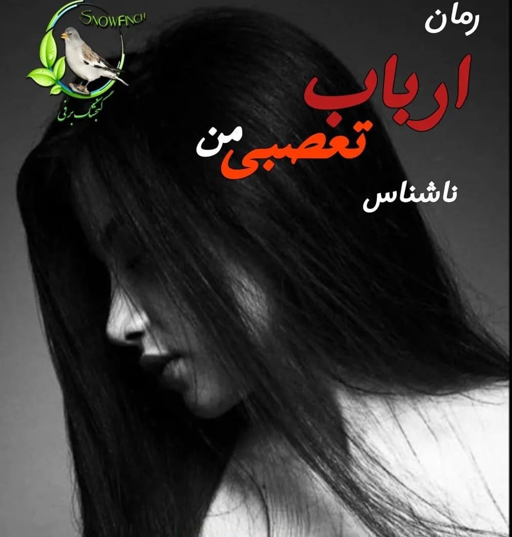دانلود رمان ارباب تعصبی من از ناشناس