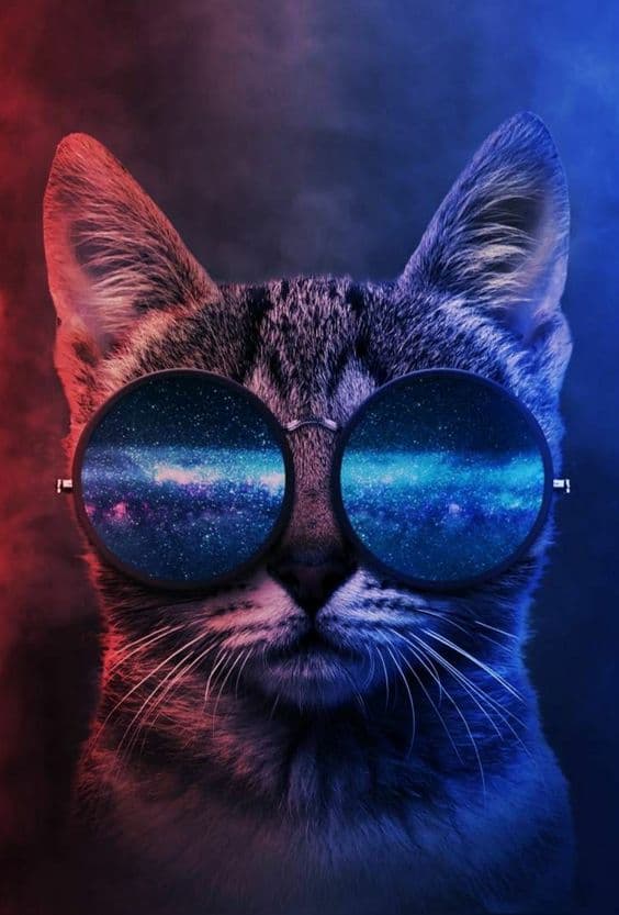 تابلو فانتزی گربه خوش رنگ با عینک — تصویر ۲