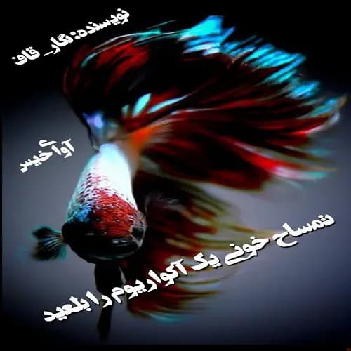 دانلود pdf رمان تمساح خونی یک آکواریوم را بلعید اثر نگار_قاف