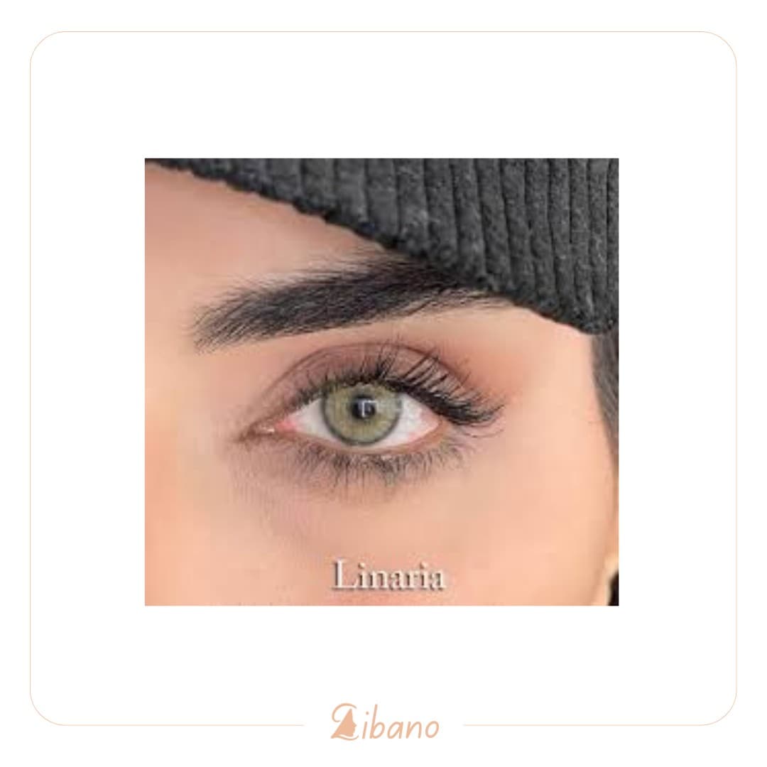 لنز سالیانه یونیک (Unique) مدل LINARIA عسلی زیتونی