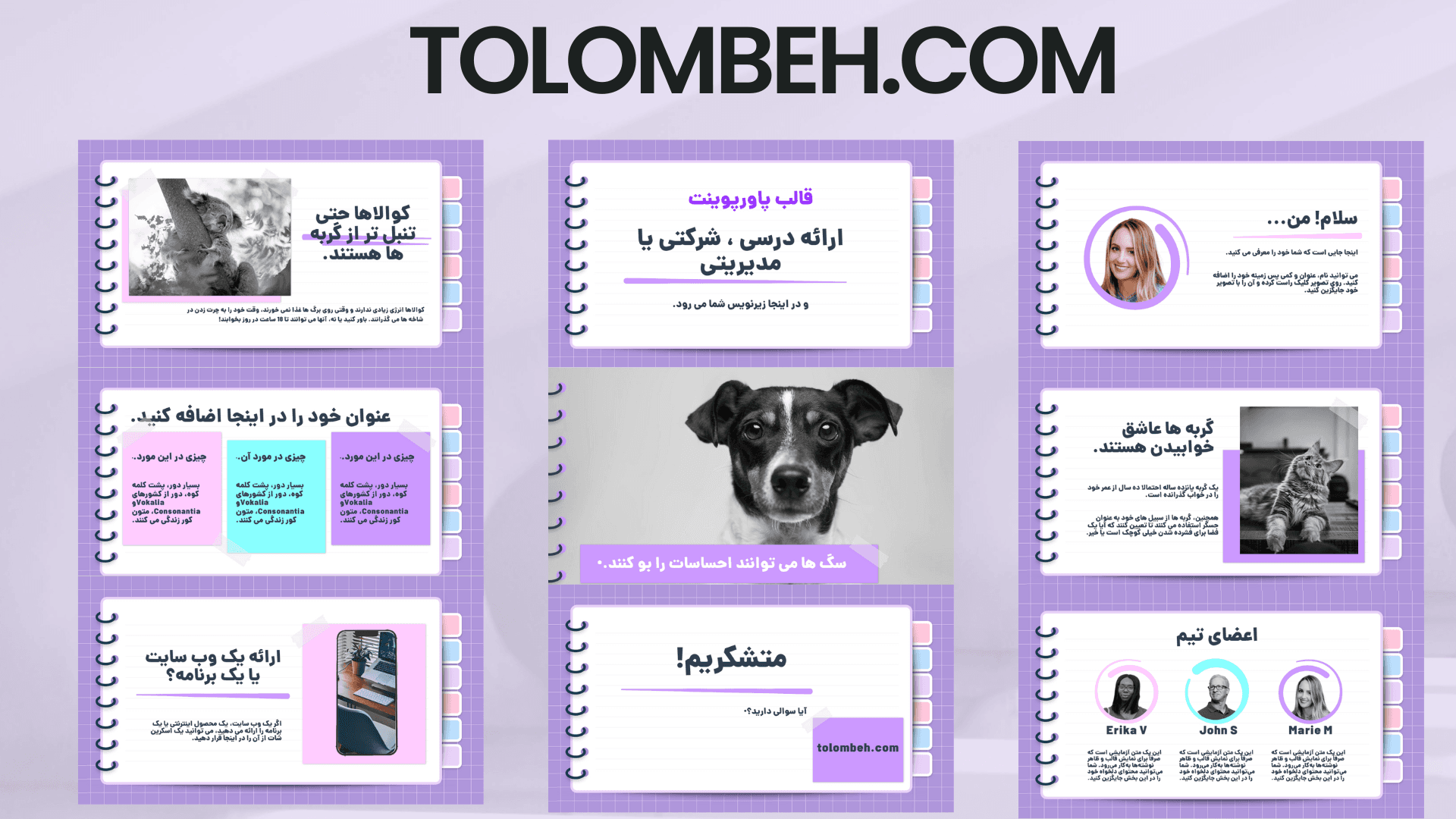 قالب پاورپوینت ارائه درسی ، شرکتی یا مدیریتی
