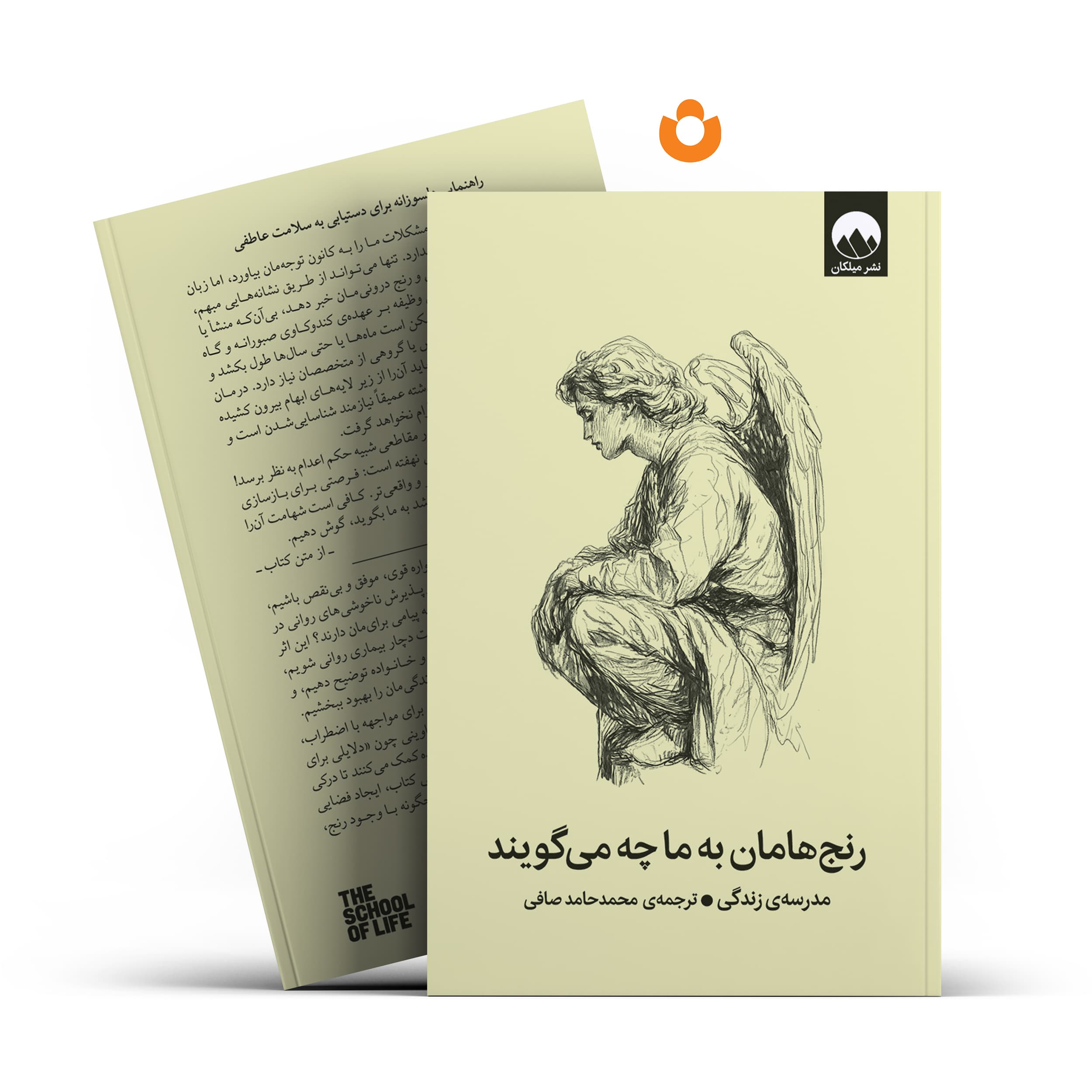کتاب رنج هامان به ما چه می گویند اثر محمد حامد صافی نشر میلکان — تصویر ۴