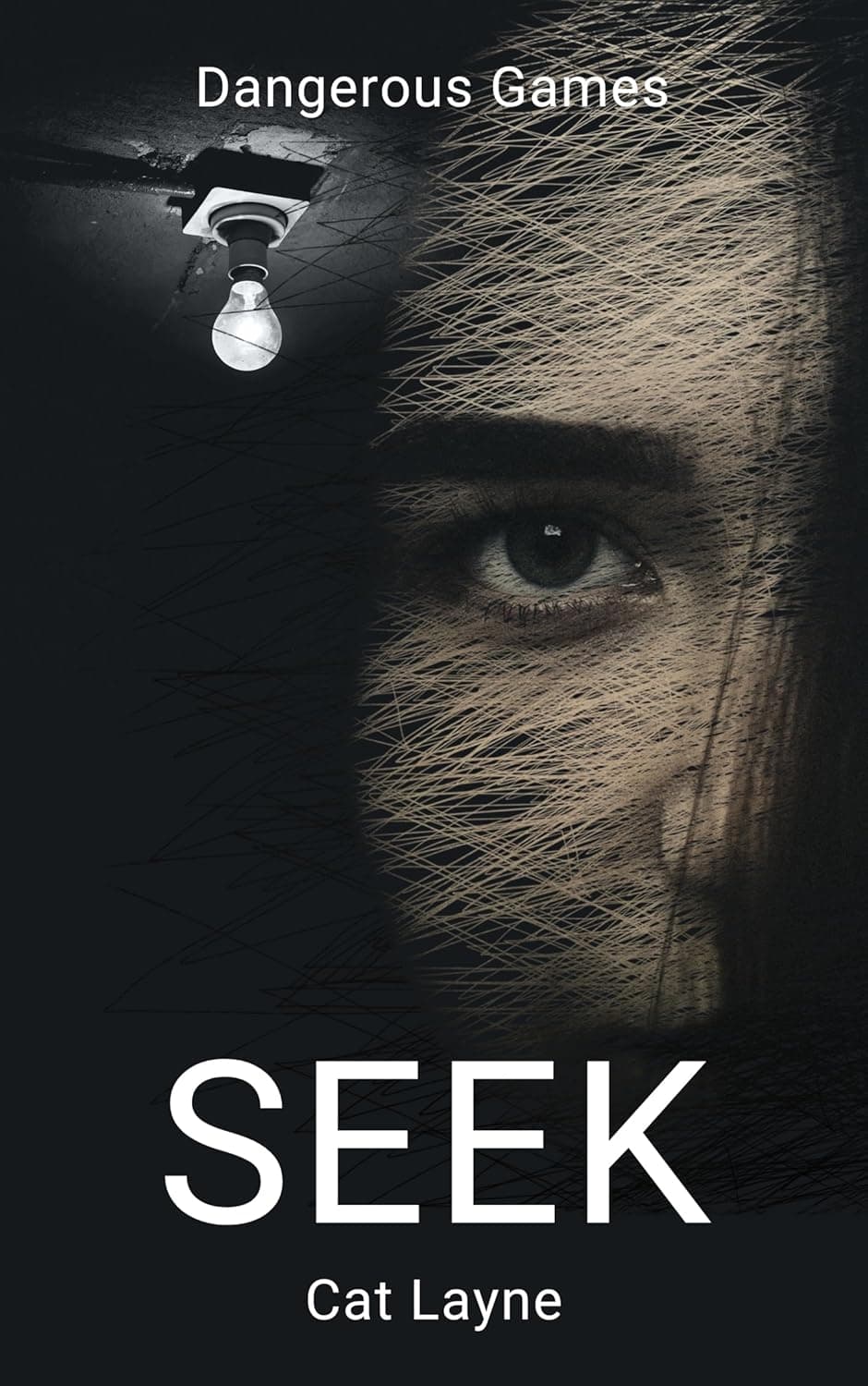 Seek (Dangerous Games Book 2)