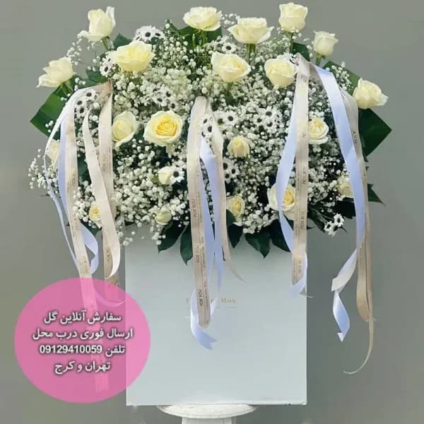 باکس گل رز سفید و ژیپسوفیلا کد 1034 | لوکسی فلور