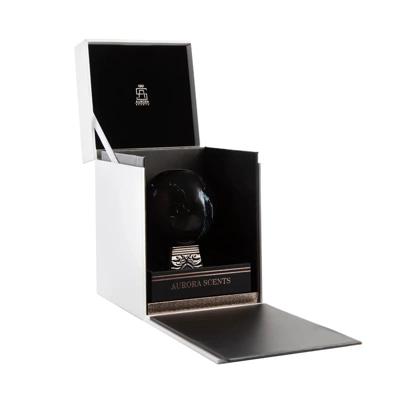 ادکلن اورورا سنتس بلک آبسیدین-ادکلن Aurora Scents Black Obsidian for Men — تصویر ۲