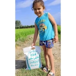 برنج طارم هاشمی فریدونکنار الک کارخانه (5 کیلویی) ارسال رایگان — تصویر ۲