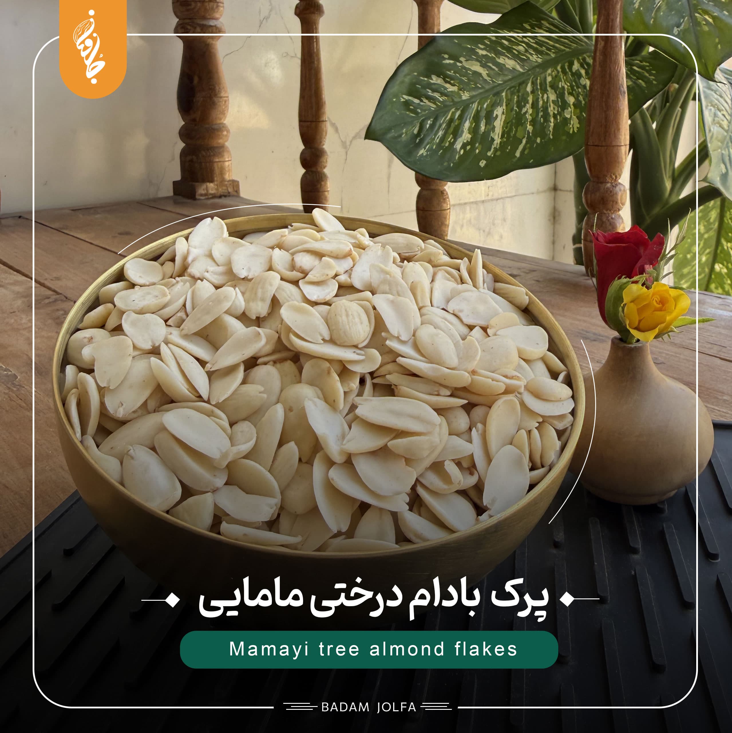 پرک بادام درختی مامایی