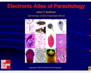 دانلود کتاب Sullivan Electronic Atlas
