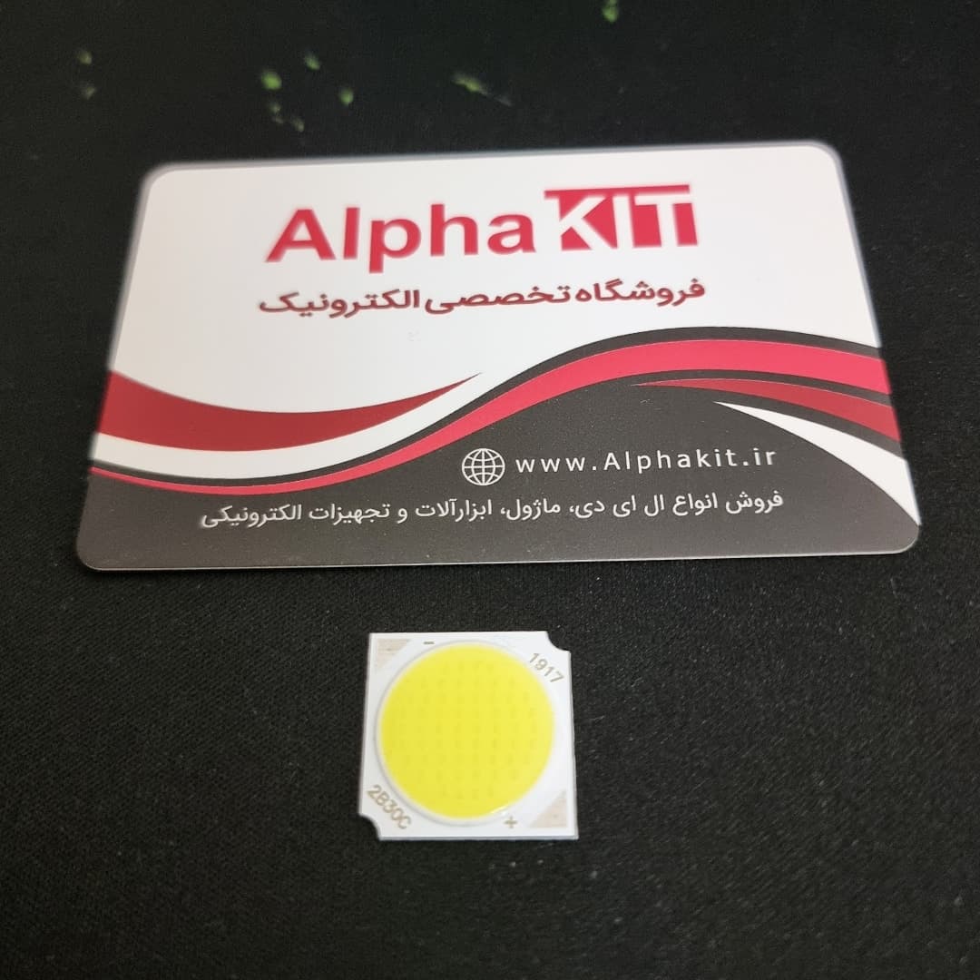 ال ای دی COB ریلی 30 وات 300 میلی آمپر سفید مهتابی 1919 — تصویر ۳