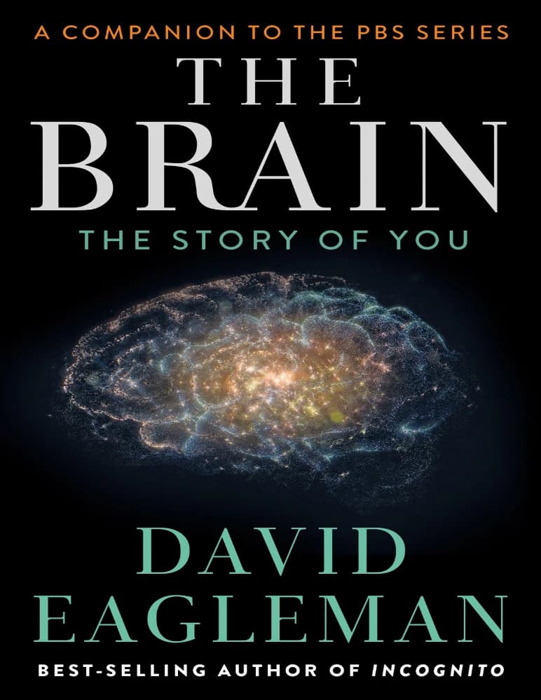 کتاب مغز داستان تو (The Brain) نسخه انگلیسی PDF | دیوید ایگلمن