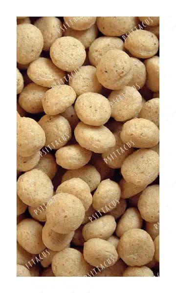 غذای طوطی سانان سیتاکوس مدل های پروتئین وزن 800 گرم — تصویر ۳