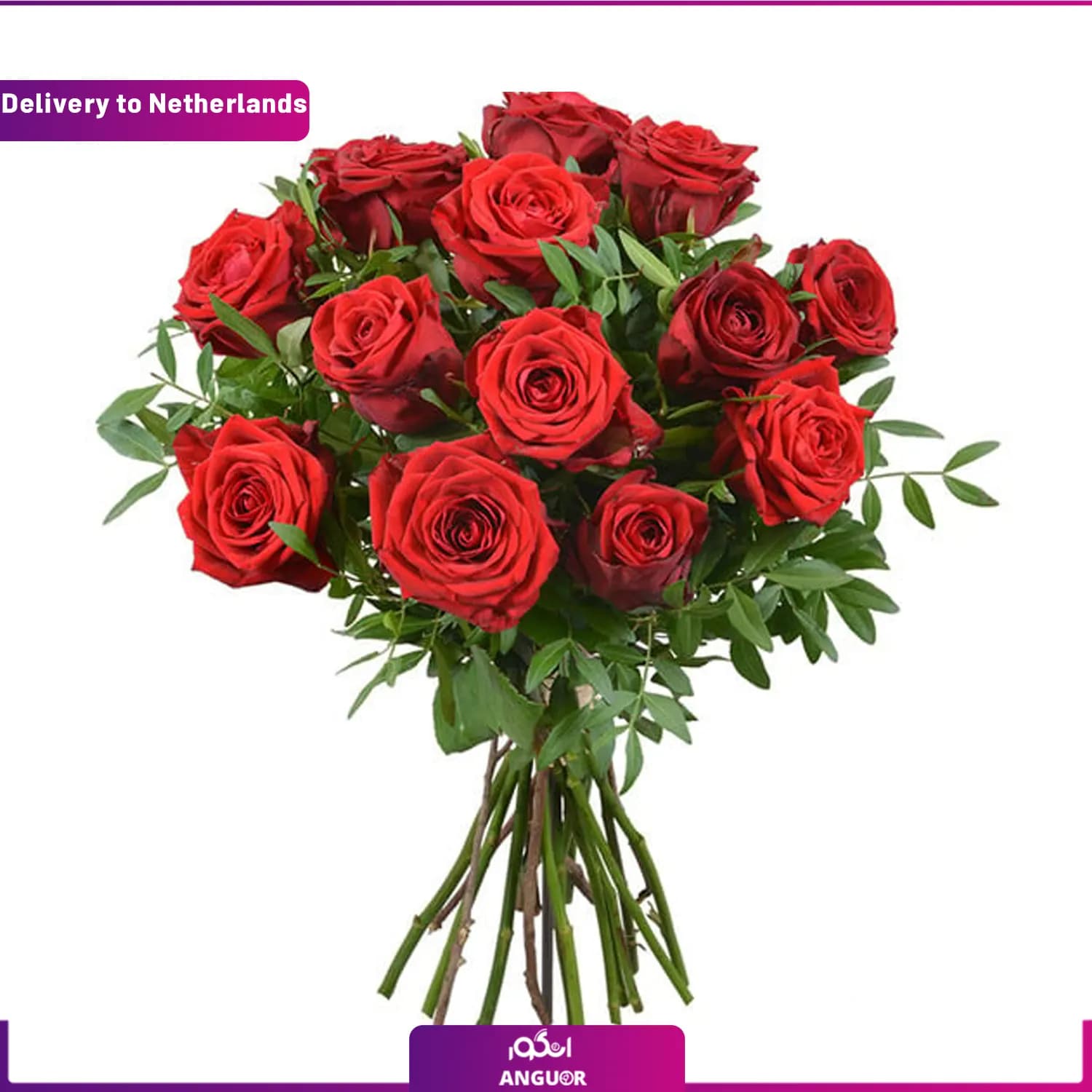 دسته گل رز سرخ 12شاخه (ارسال گل به هلند)