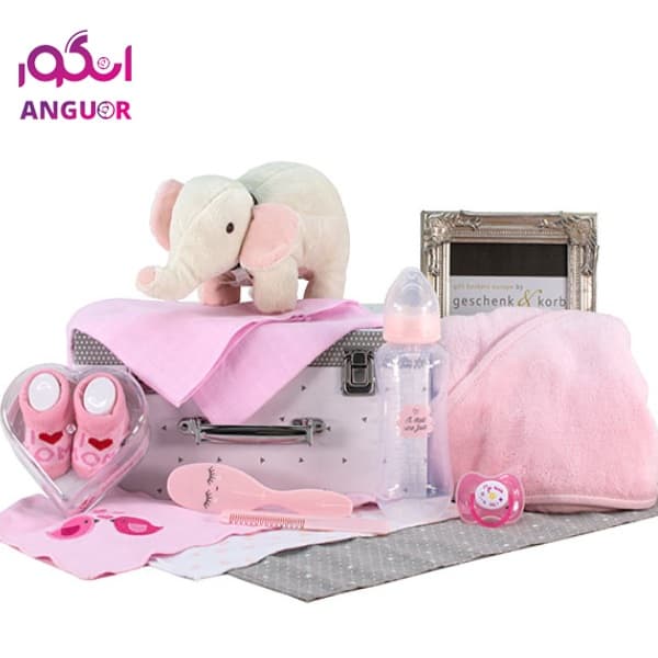 پیک هدیه برای نوزاد دختر (ارسال هدیه به سوئد )