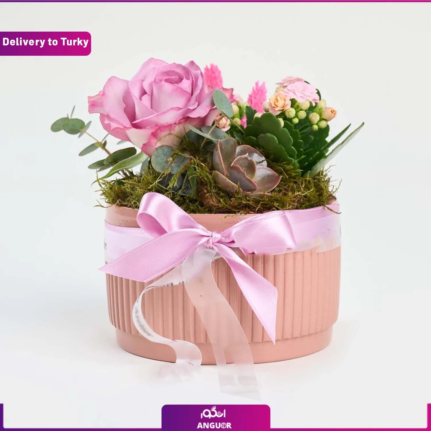 باکس گل رز و ساکولنت (ارسال گل به ترکیه)