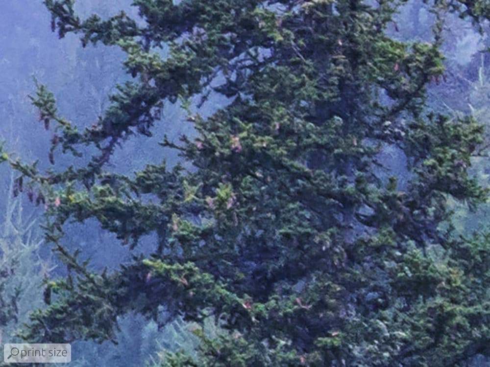 پوستر دیواری درختان جنگل M10056200 — تصویر ۲