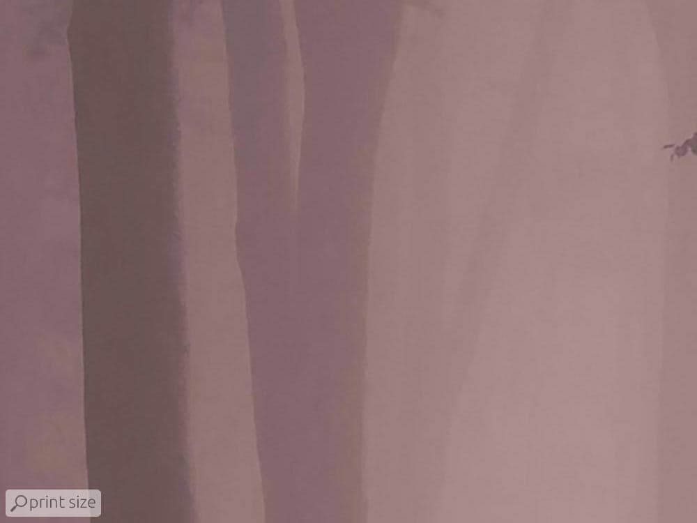 پوستر دیواری منظره طبیعت مه آلود M10054000 — تصویر ۳