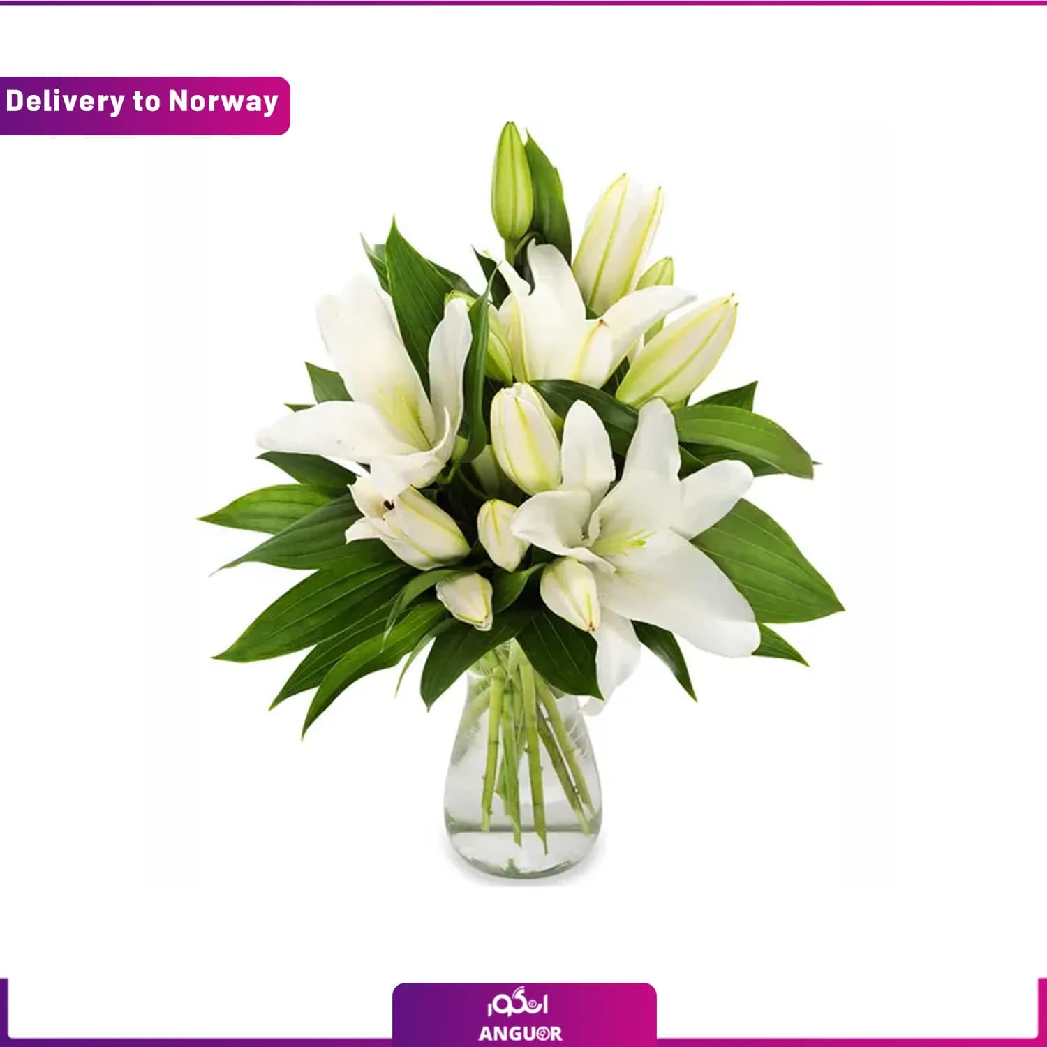 دسته گل تسلیت (ارسال گل به نروژ)