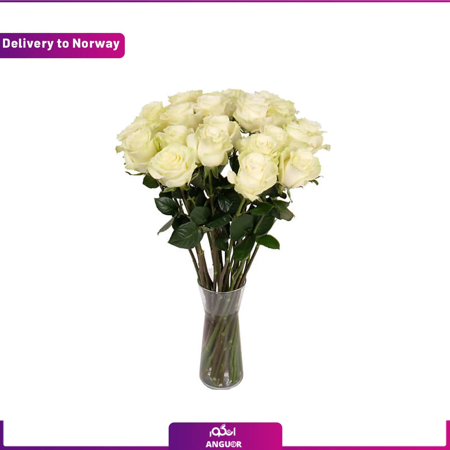 دسته گل 10 شاخه رز Florist’s white roses (ارسال گل به نروژ)