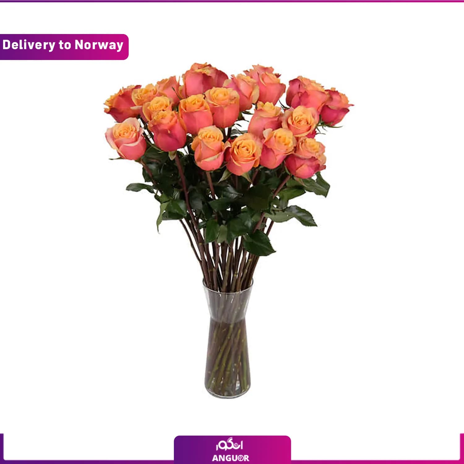 دسته گل 8 شاخه رز Florist’s orange roses (ارسال گل به نروژ)