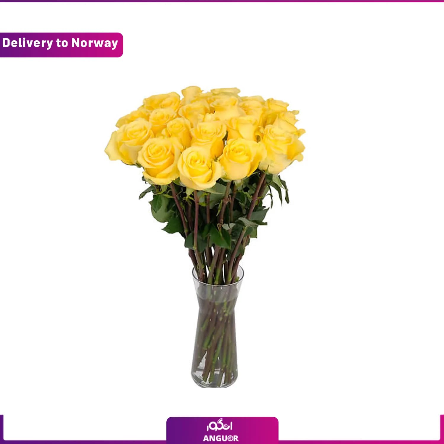 دسته گل ساقه بلند 8 شاخه رز زرد (ارسال گل به نروژ)