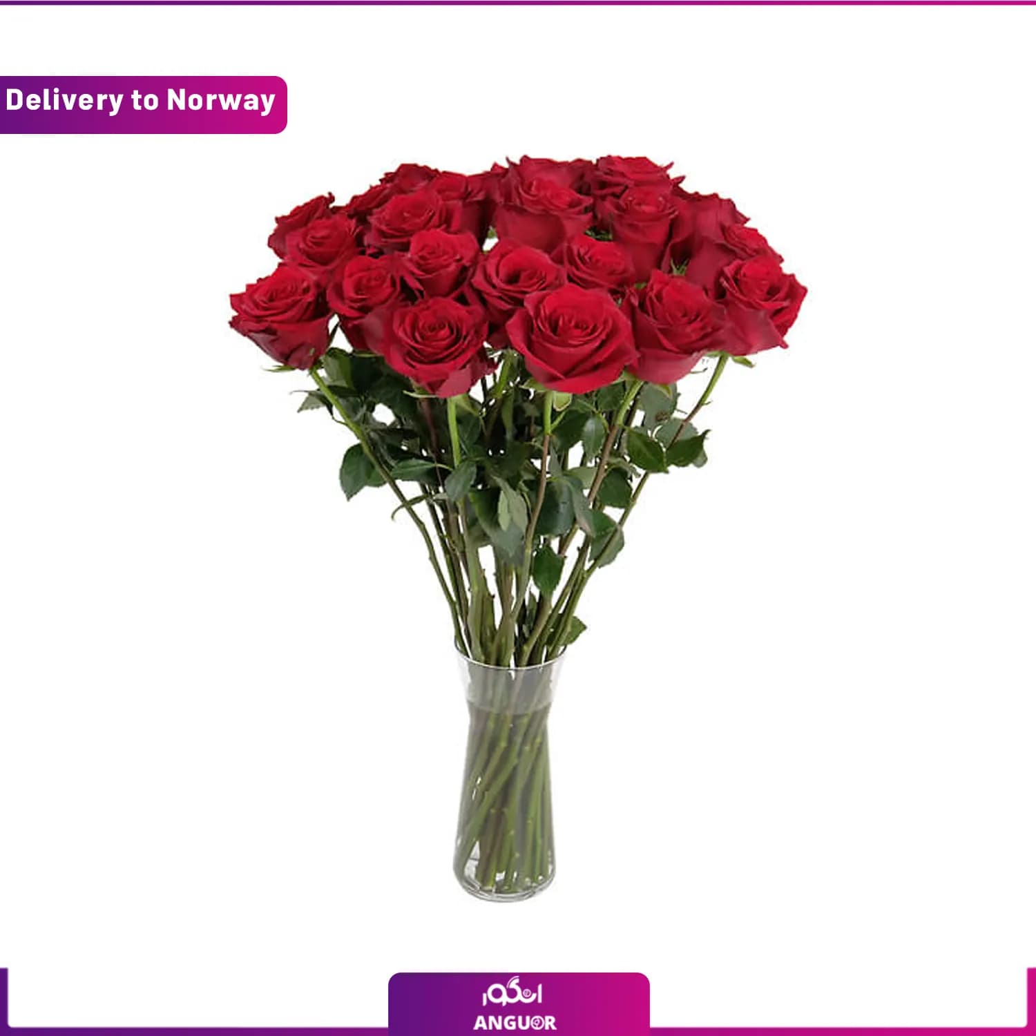 دسته گل 12 شاخه رز سرخ (ارسال گل به نروژ)