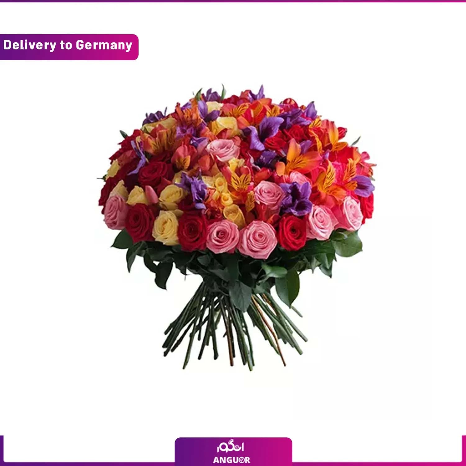 دسته گل رز و آلسترومریا پاک (ارسال گل به آلمان)