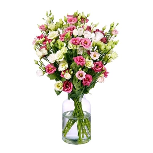 دسته گل لیسیانتوس (ارسال گل به آلمان)