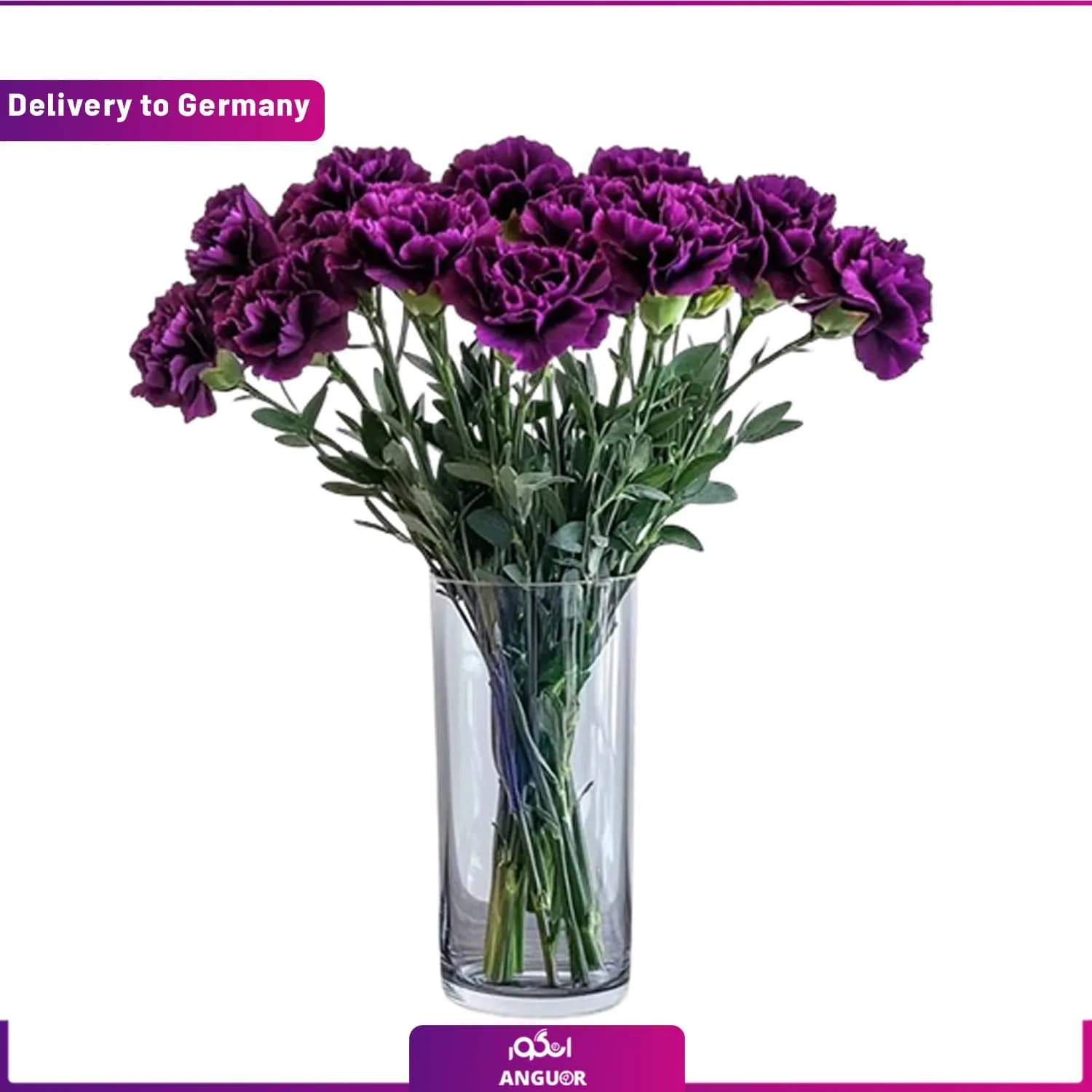 دسته گل میخک بنفش (ارسال گل به آلمان)