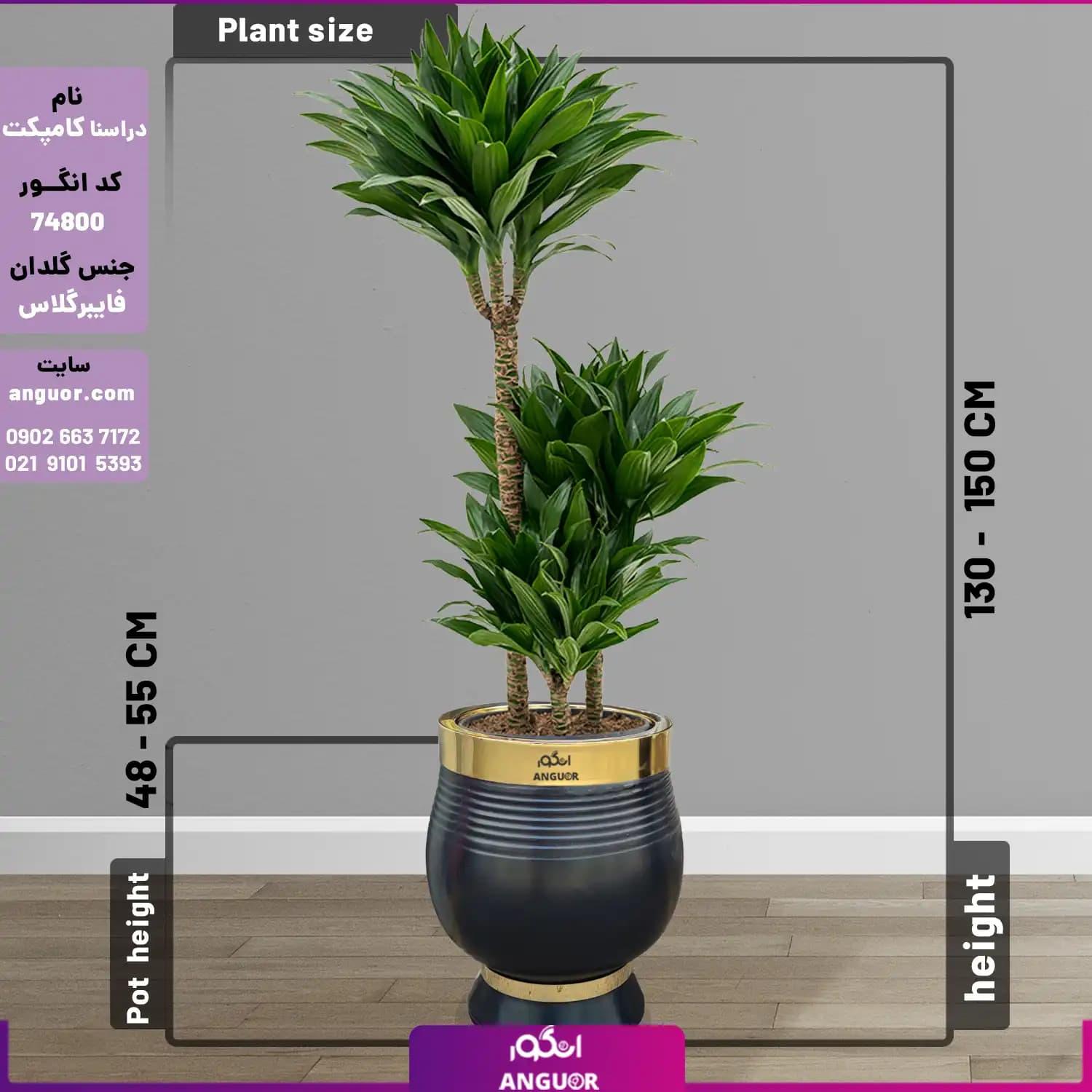 دراسنا کامپکت سایز بزرگ با گلدان فایبرگلاس لوکس VIP (decorative plants) — تصویر ۲