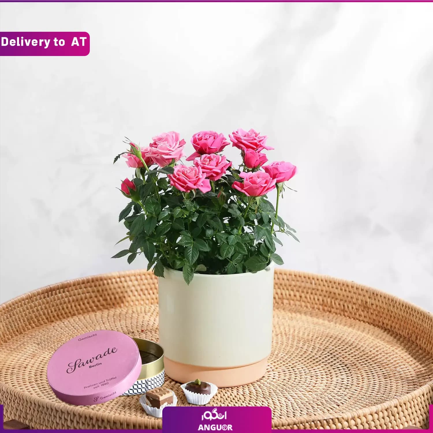 (Delivery to Austria) Pinke Rose