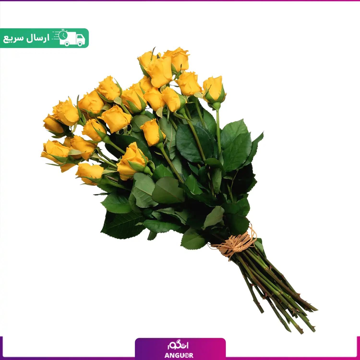 دسته گل 20 شاخه رز زرد ممتاز (رز هلندی)