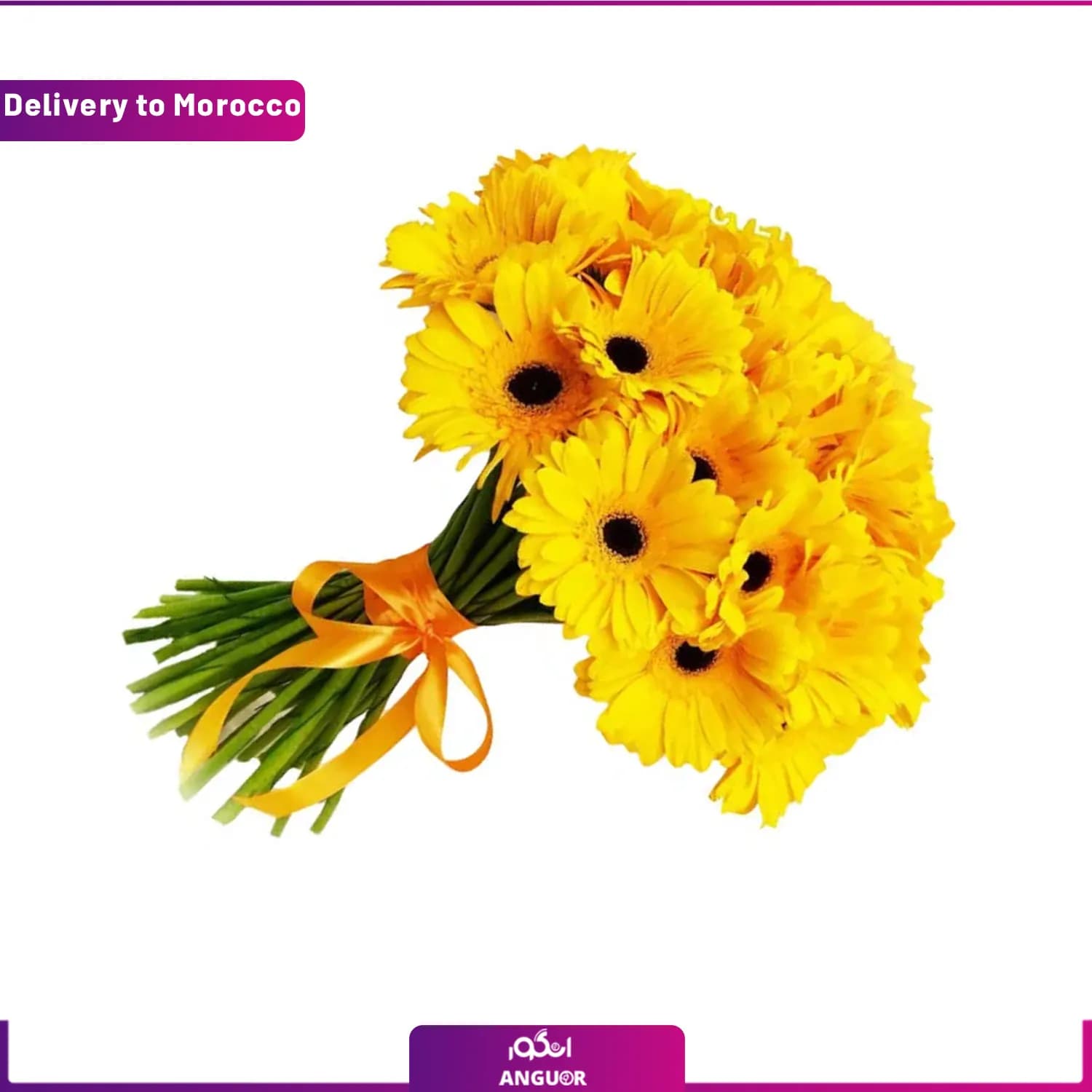 دسته گل (ارسال گل به مراکش )