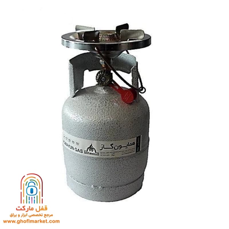 پیک نیک 1 کیلویی سفید همایون گاز