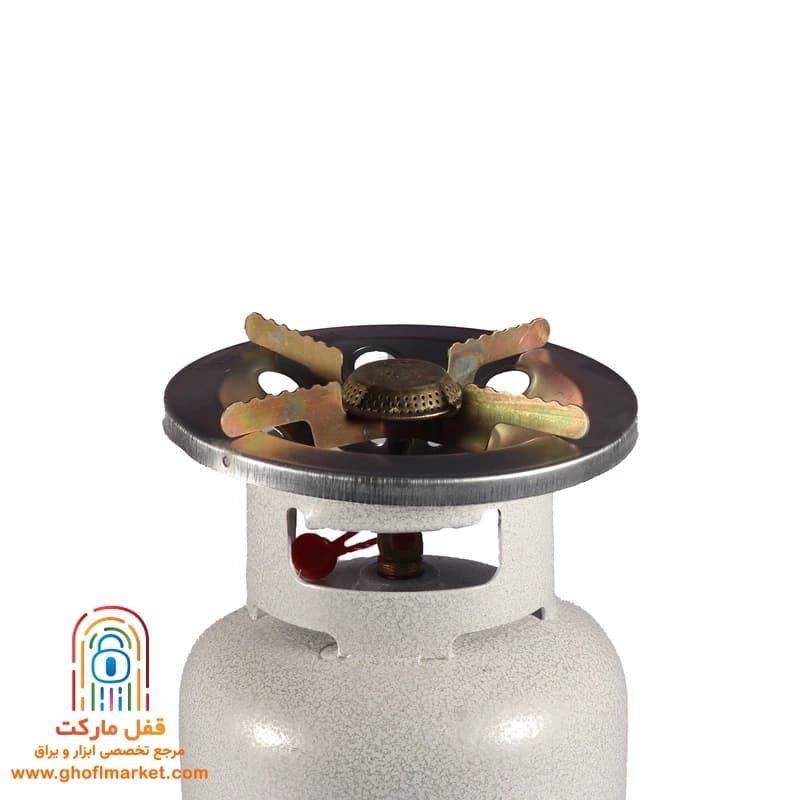 پیک نیک 5 کیلویی سفید همایون گاز — تصویر ۳