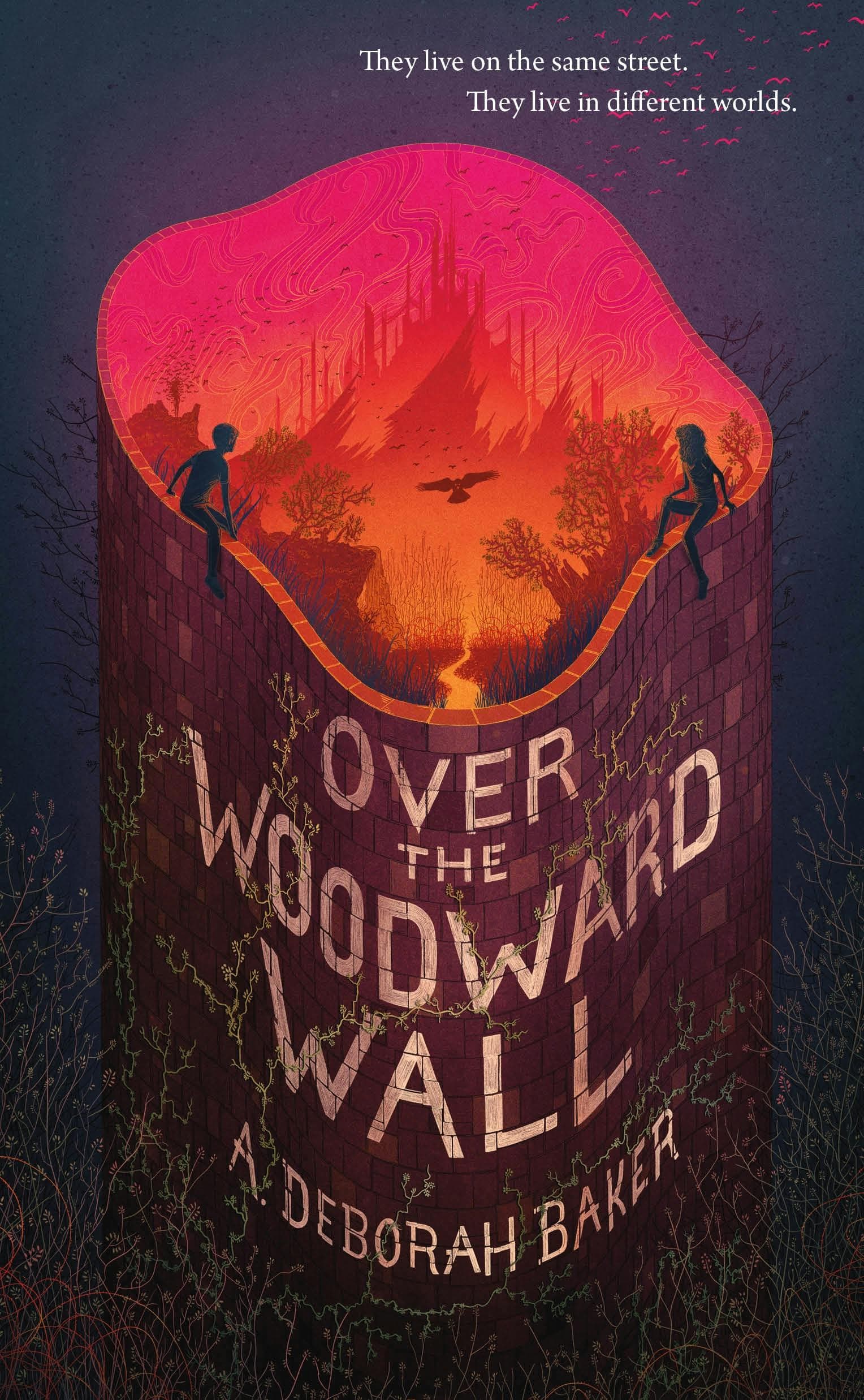 کتاب Over the Woodward Wall (آن سوی دیوار وودوارد) نسخه انگلیسی PDF | دبورا بیکر