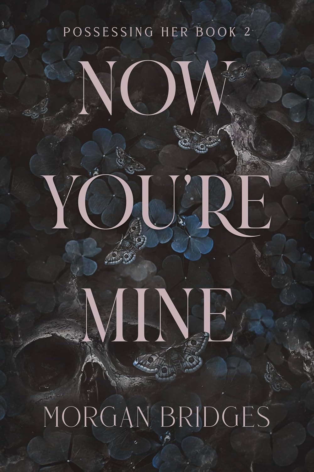 کتاب Now You’re Mine (حالا تو مال منی) نسخه انگلیسی PDF | مورگان بریجز — تصویر ۲