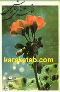 خوشه های نارس