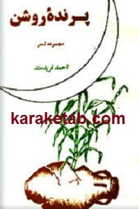 پرنده روشن