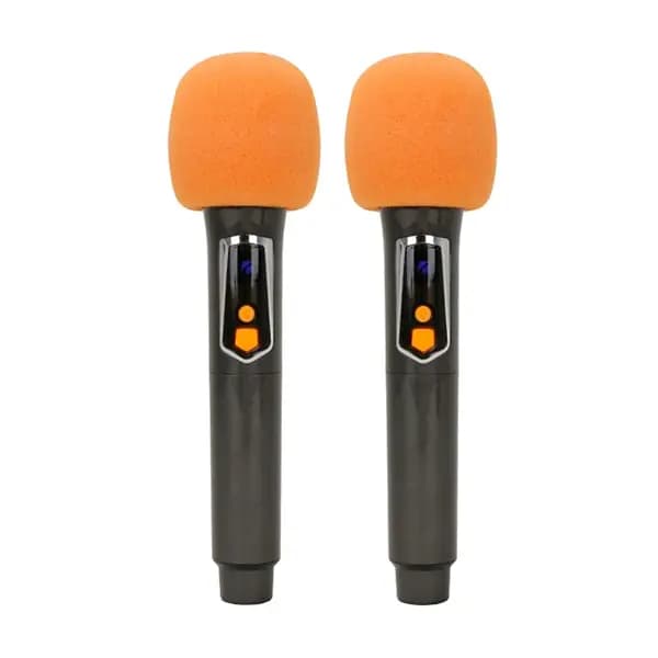 پارتی باکس مدل BTS-2100 برودو — تصویر ۵