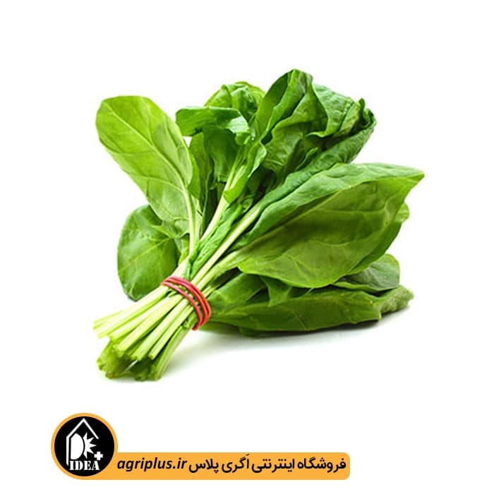 بذر شاهی آزادی