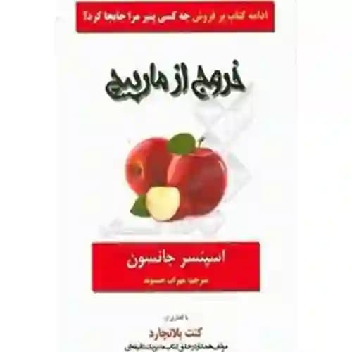 خروج از مارپیچ — تصویر ۲
