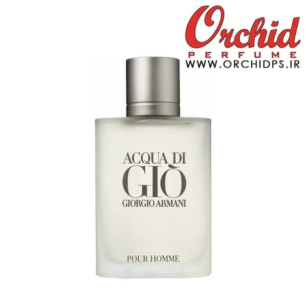 ادو تویلت مردانه جورجیو آرمانی مدل Acqua di Gio حجم 100 میل — تصویر ۲
